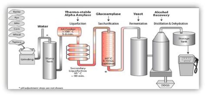 What is fermentation in bioethanol production?