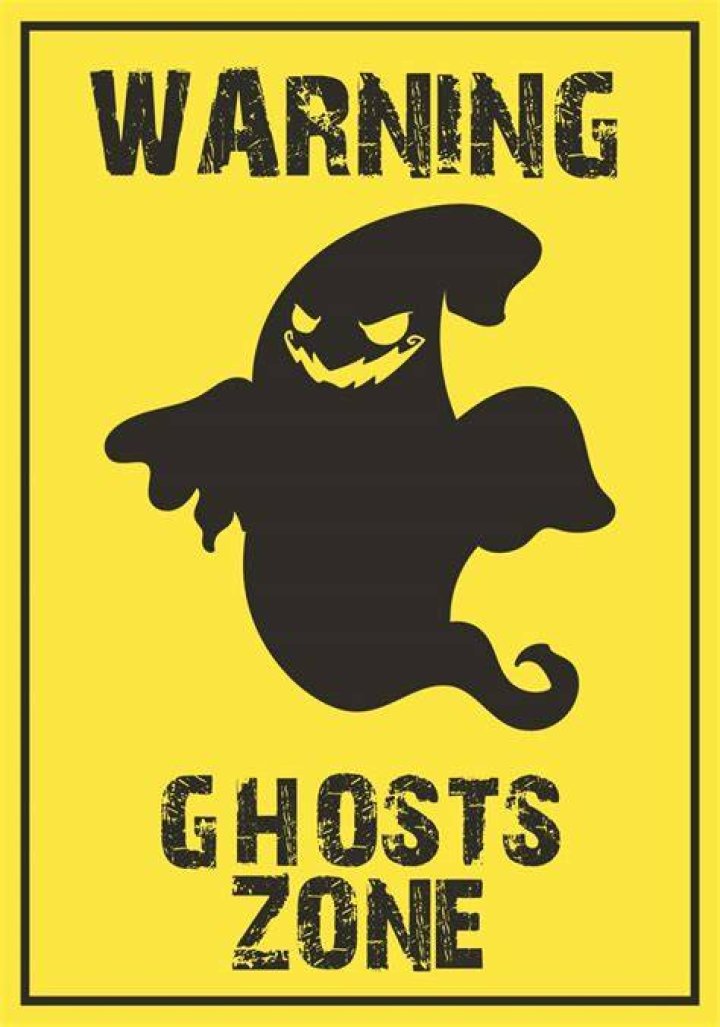 What is ghost Zone?