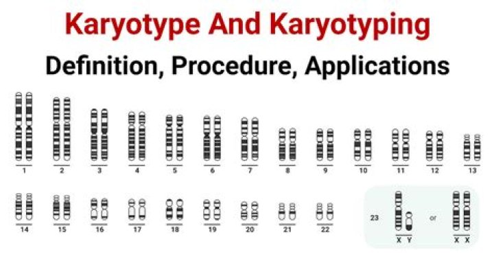 What is mosaic karyotype?