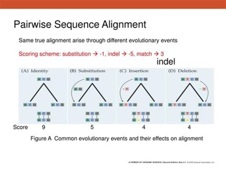 What is pairwise sequence alignment?