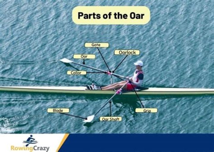 What is rowing with two oars called?