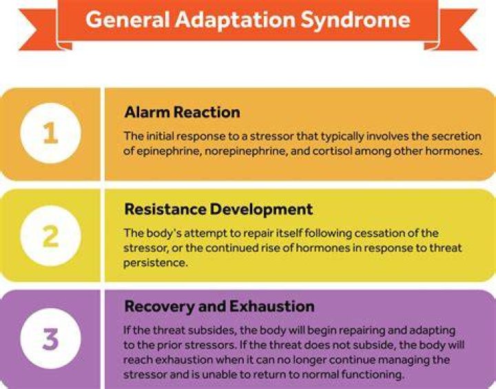 What is signal adaptation?
