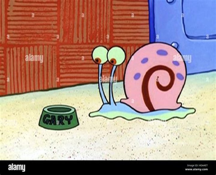 What is spot on SpongeBob?