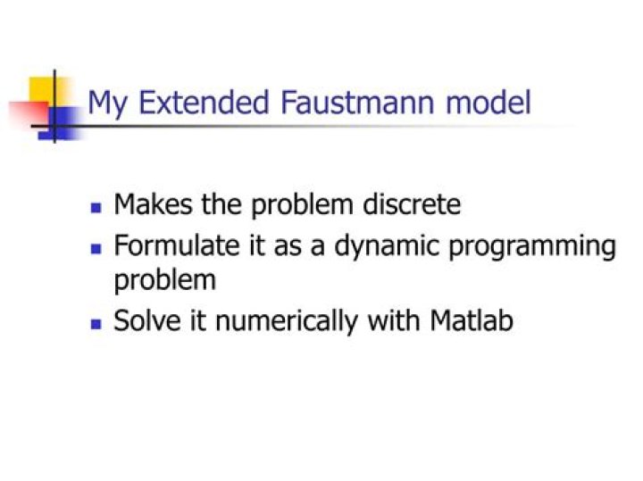What is the faustmann rotation problem?
