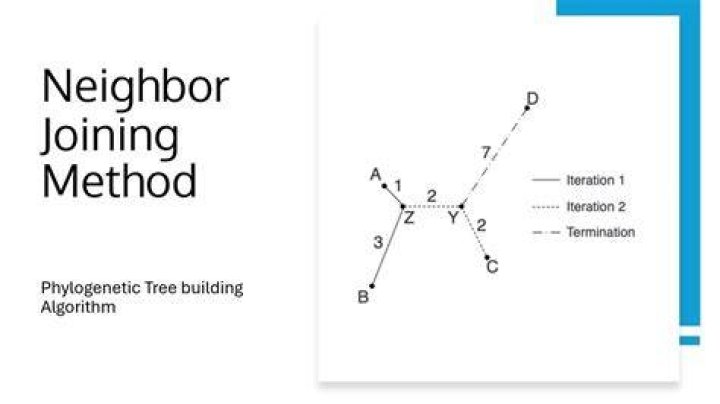 What is the neighbor joining method?
