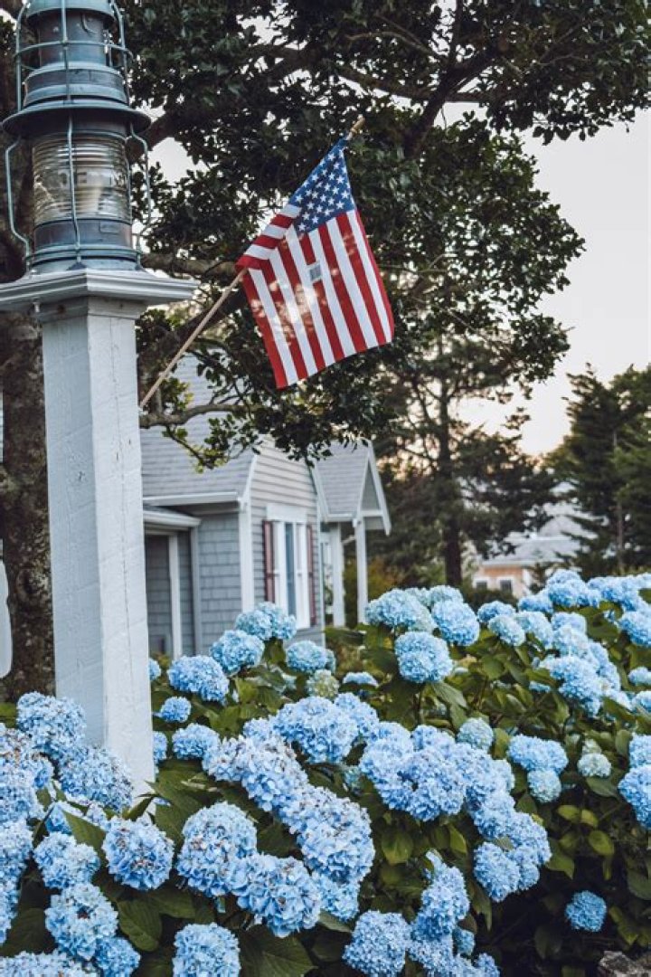 What is the oldest town in Cape Cod?