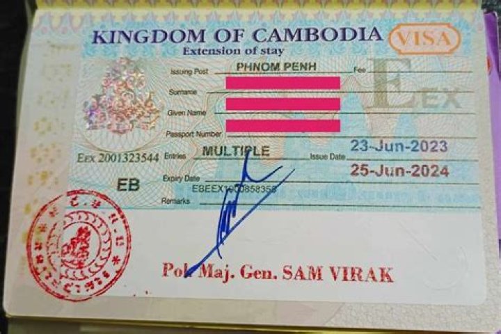 What is Type E-visa for Cambodia?