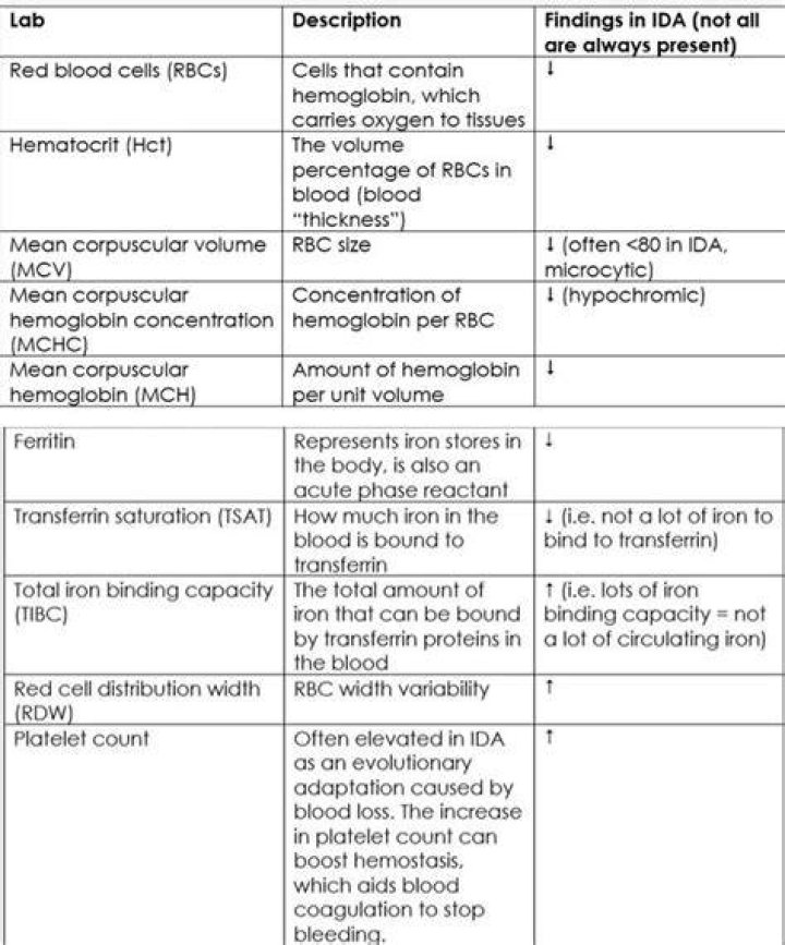 What lab values indicate iron deficiency anemia?
