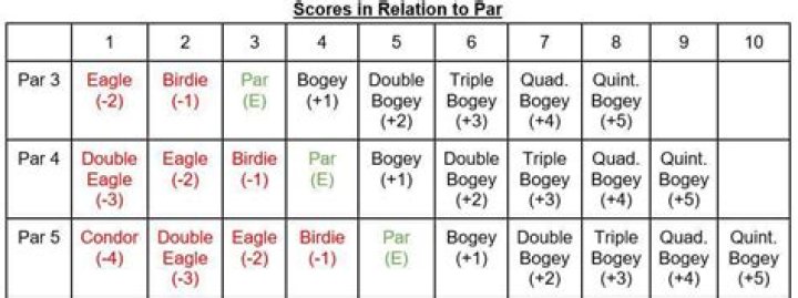 When you score 1 under par it is called?
