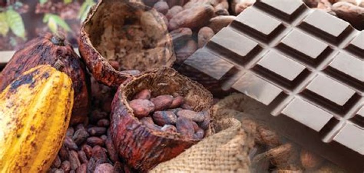 Where can I use cocoa powder?