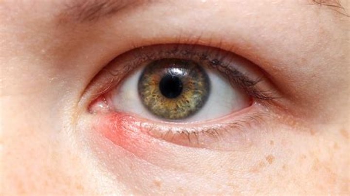 Where does bat an eyelid come from?