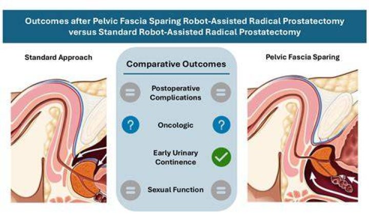 Which action is performed during a suprapubic prostatectomy?