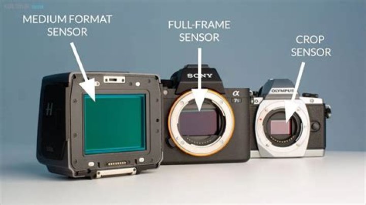 Which is better crop sensor or full frame?