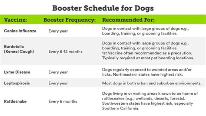 Which vaccines do dogs really need?