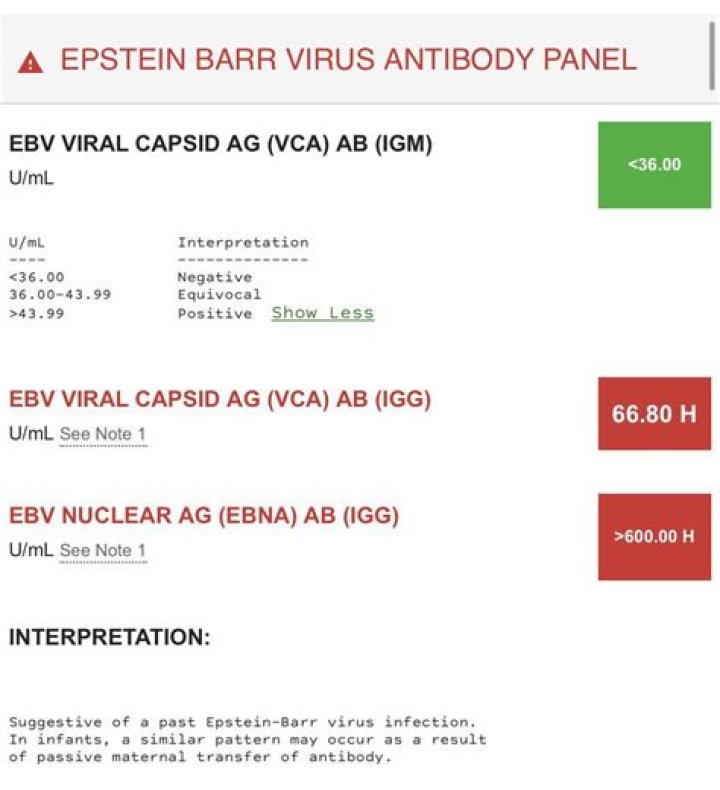 Will you always test positive for Epstein Barr?